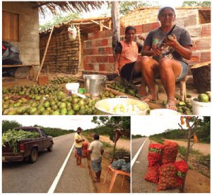 Fonte: Diário do Nordeste