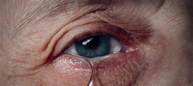 Foto: Reprodução Google Imagens