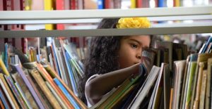 Foto: Reprodução Google Imagens