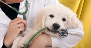 Foto: Reprodução unorp