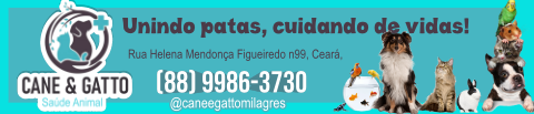 Ads-3-Cane e Gatto